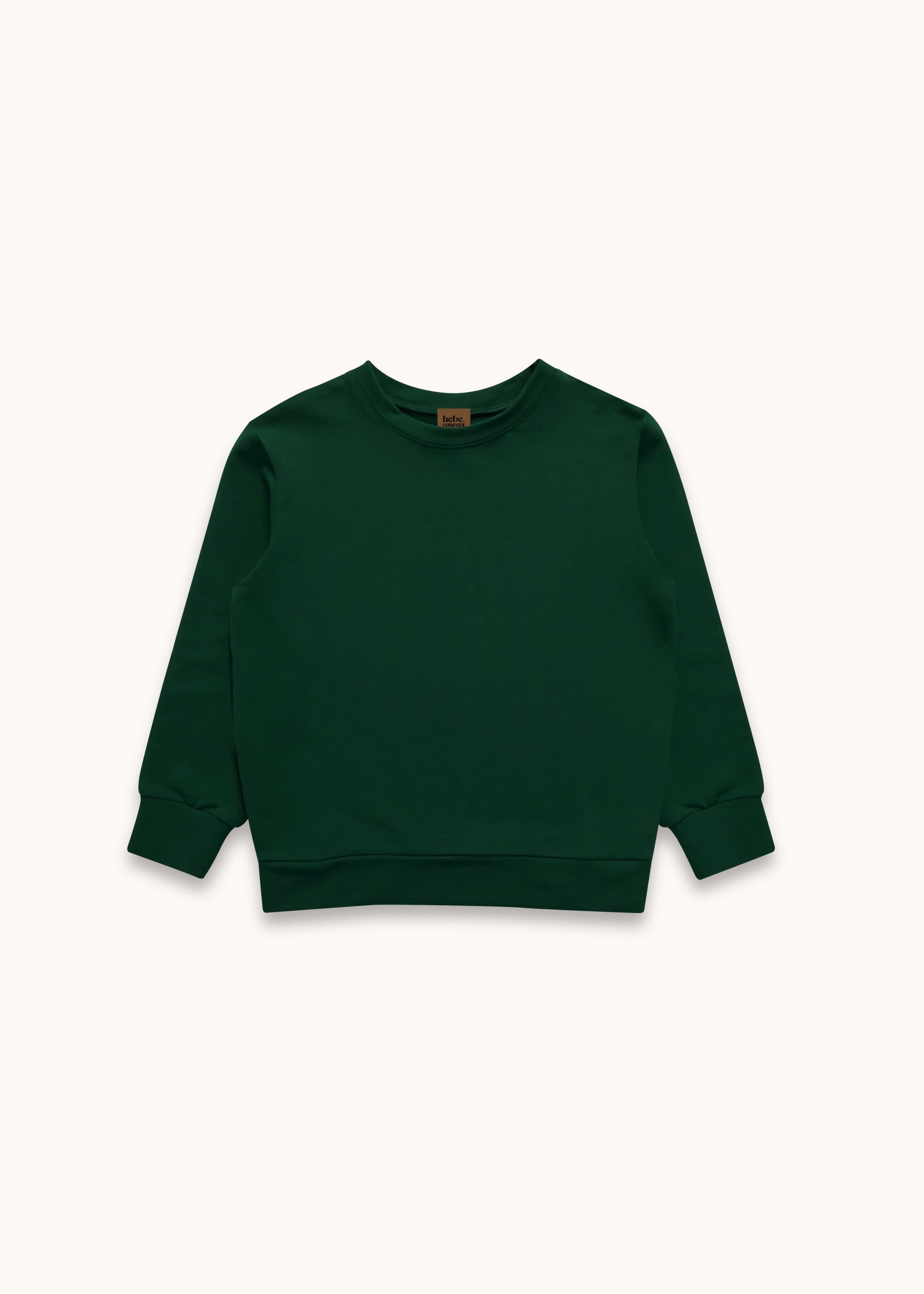 Everyday sweatshirt | Grades 5-12